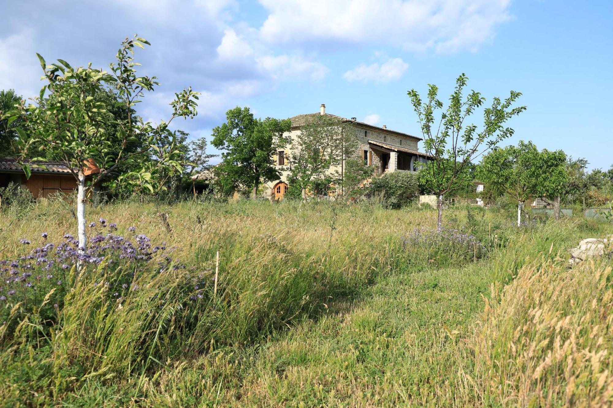 Hotel La Gourmandine Courry Exterior foto